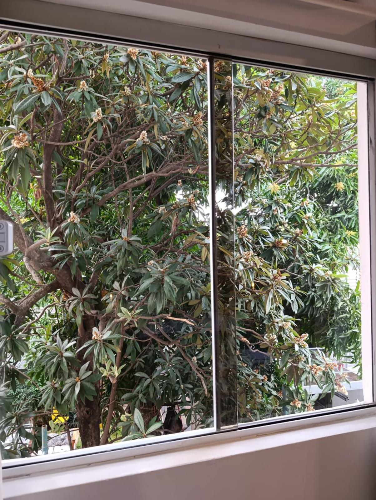 Apartmán Taguato Asunción Exteriér fotografie
